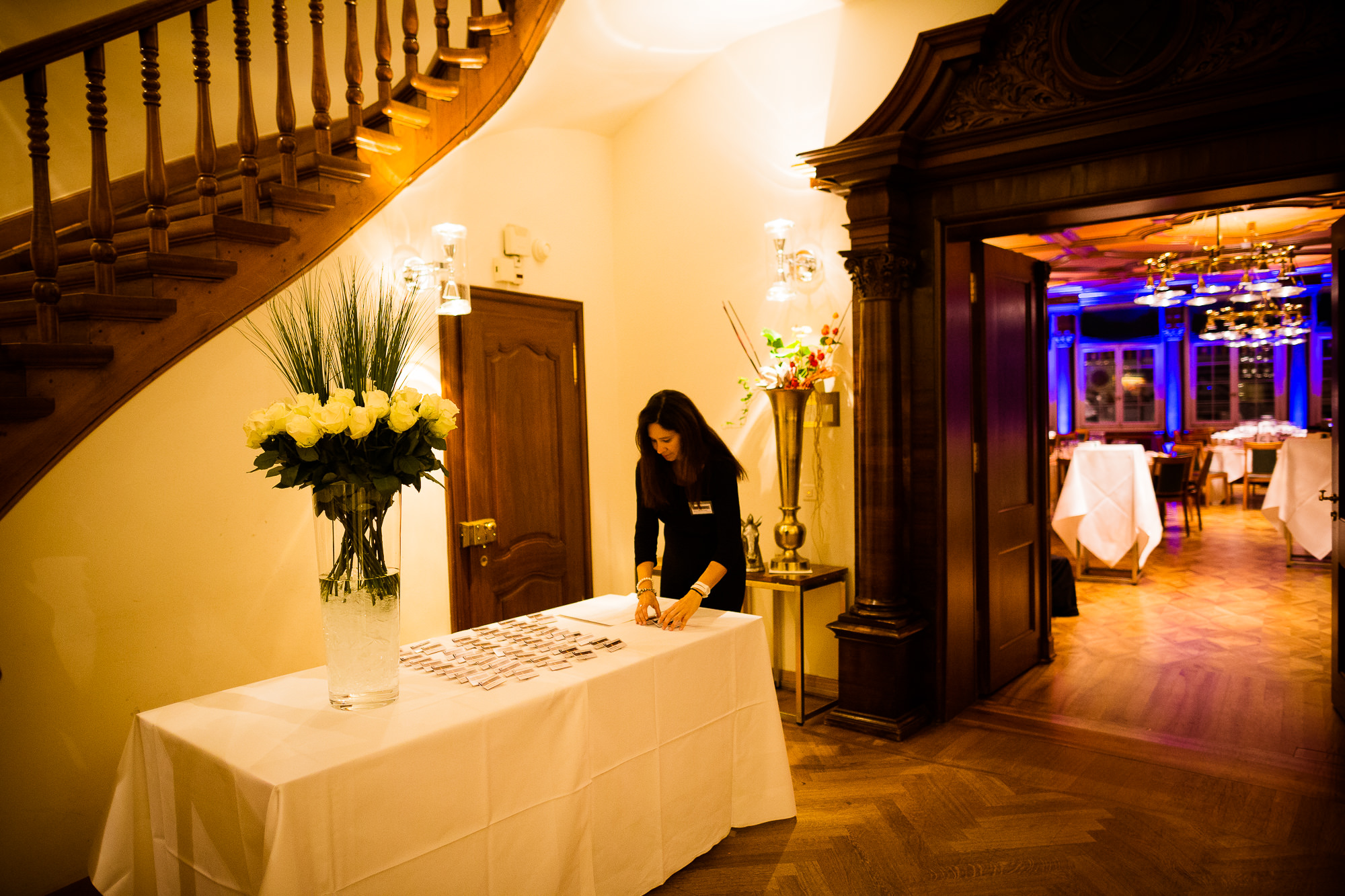 Export x3 1DX 8599 Businessauftrag Complementa 2014